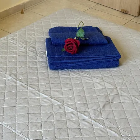The Ground Apartment